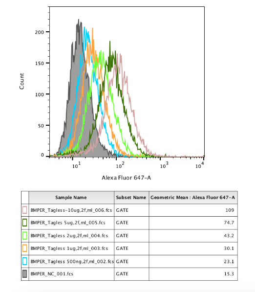 Mouse Crossveinless‑2/CV‑2 Antibody AF2299