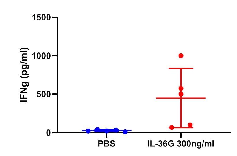 Human IL‑36 gamma /IL‑1F9 Antibody AF2320