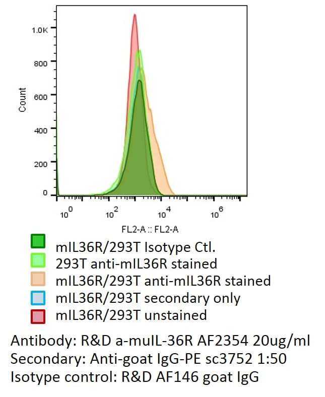 Mouse IL-1Rrp2/IL-1R6 Antibody AF2354