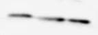 Human TIM‑3 Antibody AF2365