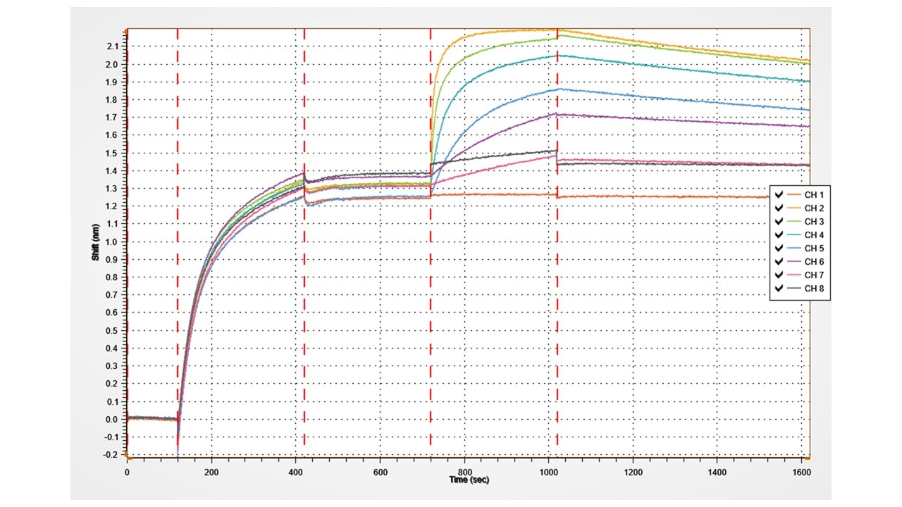 Human DDR1 Antibody AF2396