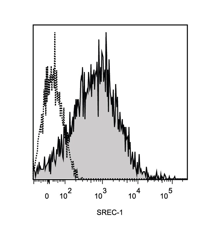 Human SREC‑I/SCARF1 Antibody AF2409