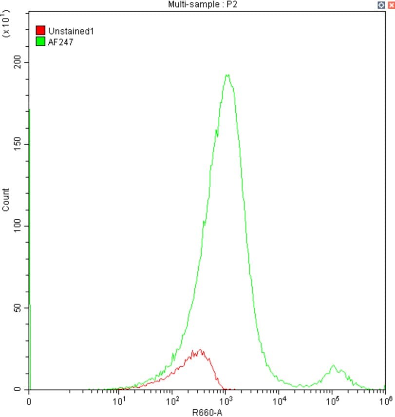 Human TfR (Transferrin R) Antibody AF2474