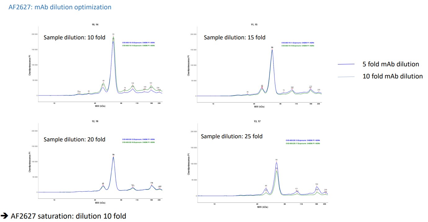 Human PCPE‑1 Antibody AF2627