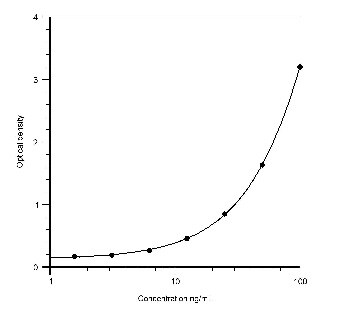 Human CL‑P1/COLEC12 Antibody AF2690