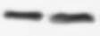 Human/Mouse Phospho-STAT1 (Y701) Antibody AF2894