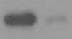Human/Mouse Phospho-STAT1 (Y701) Antibody AF2894