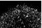 Human Frizzled‑6 Antibody AF3149