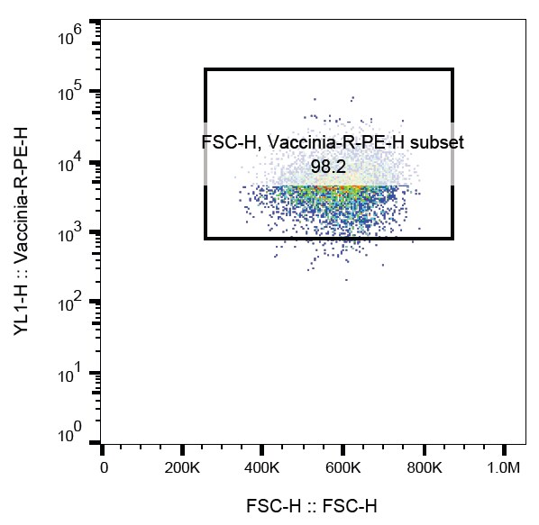 Human IL‑15 Antibody AF315