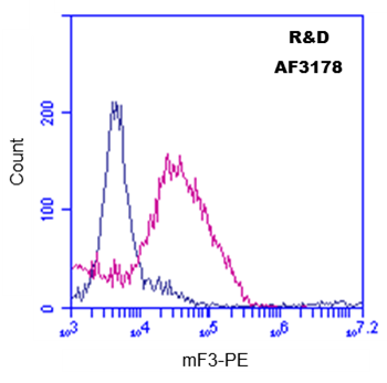 Mouse Coagulation Factor III/Tissue Factor Antibody AF3178