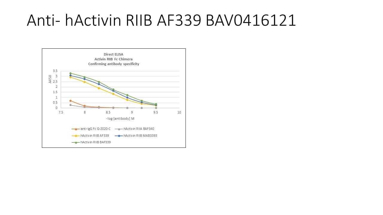 Human Activin RIIB Antibody AF339