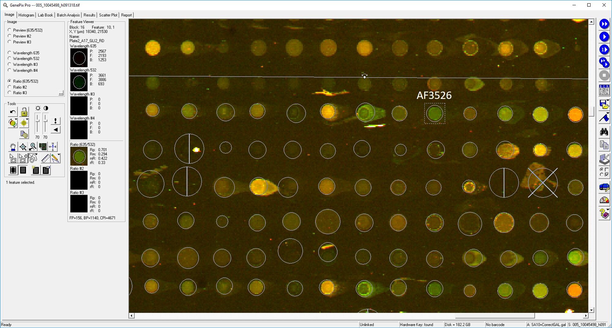 Human GLI‑2 Antibody AF3526