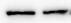 Human Ephrin‑A4 Antibody AF369