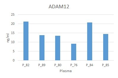 Human ADAM12 Antibody AF4416