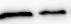 Human/Mouse/Rat GRP78/HSPA5 Antibody AF4846