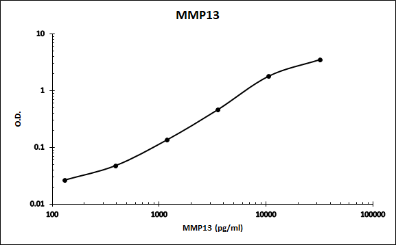 Human MMP‑13 Antibody AF511