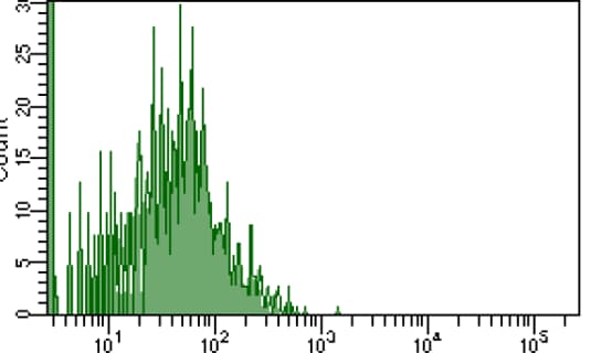 Mouse/Rat IL‑10 Antibody AF519