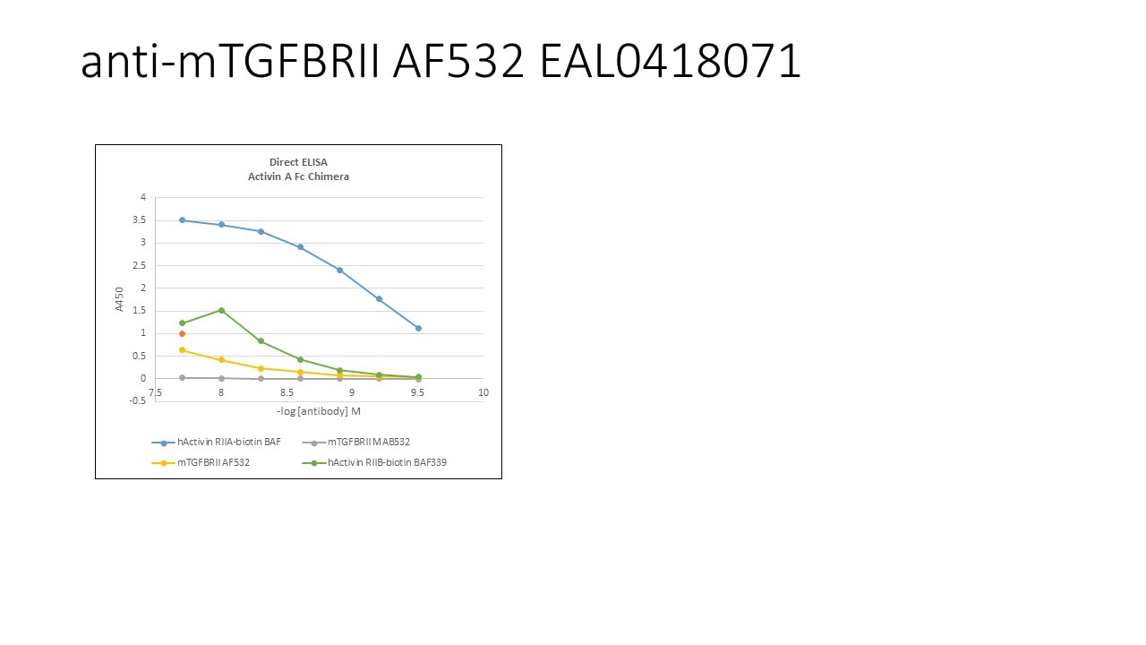 Mouse TGF‑ beta  RII Antibody AF532