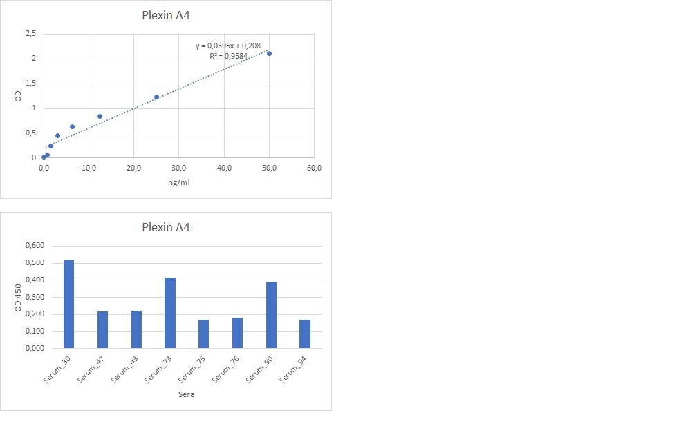 Human Plexin A4 Antibody AF5856