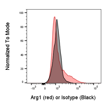 Human/Mouse/Rat Arginase 1/ARG1 Antibody AF5868