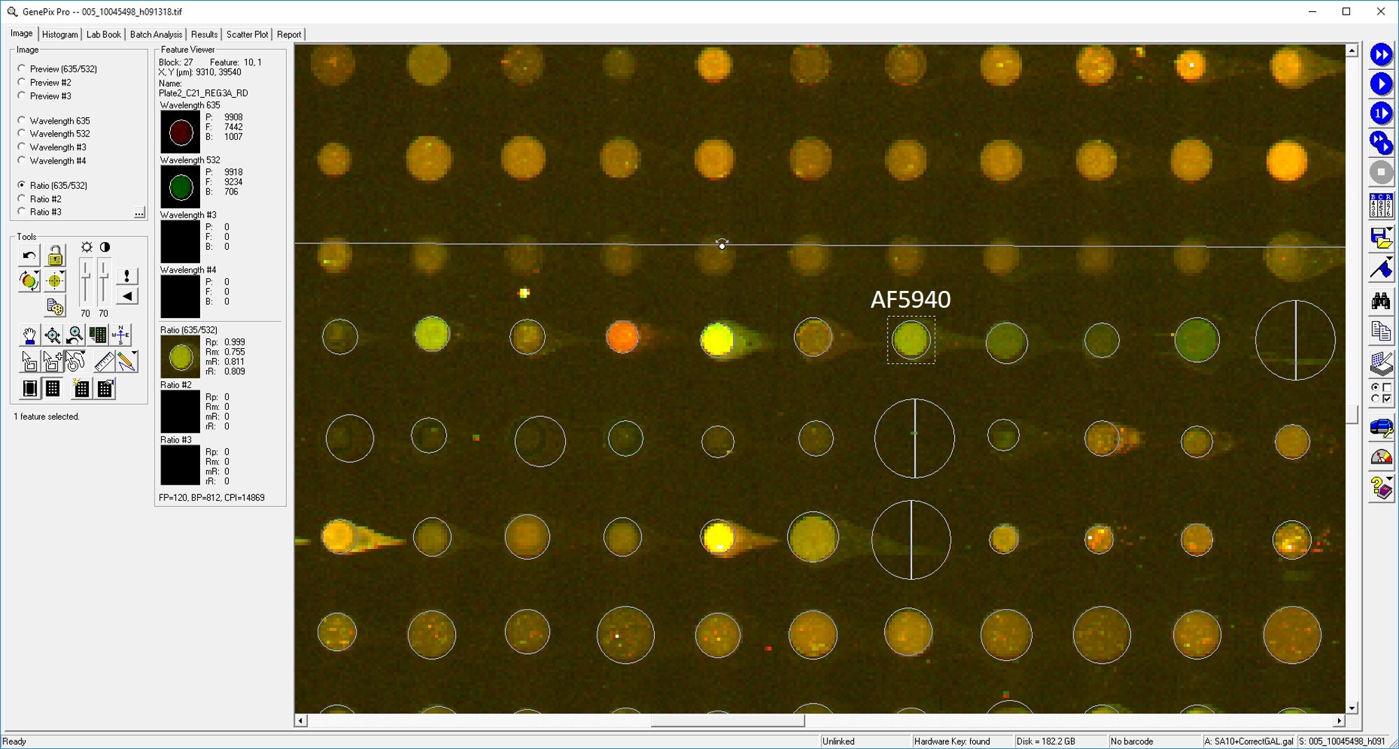 Human Reg3A Antibody AF5940
