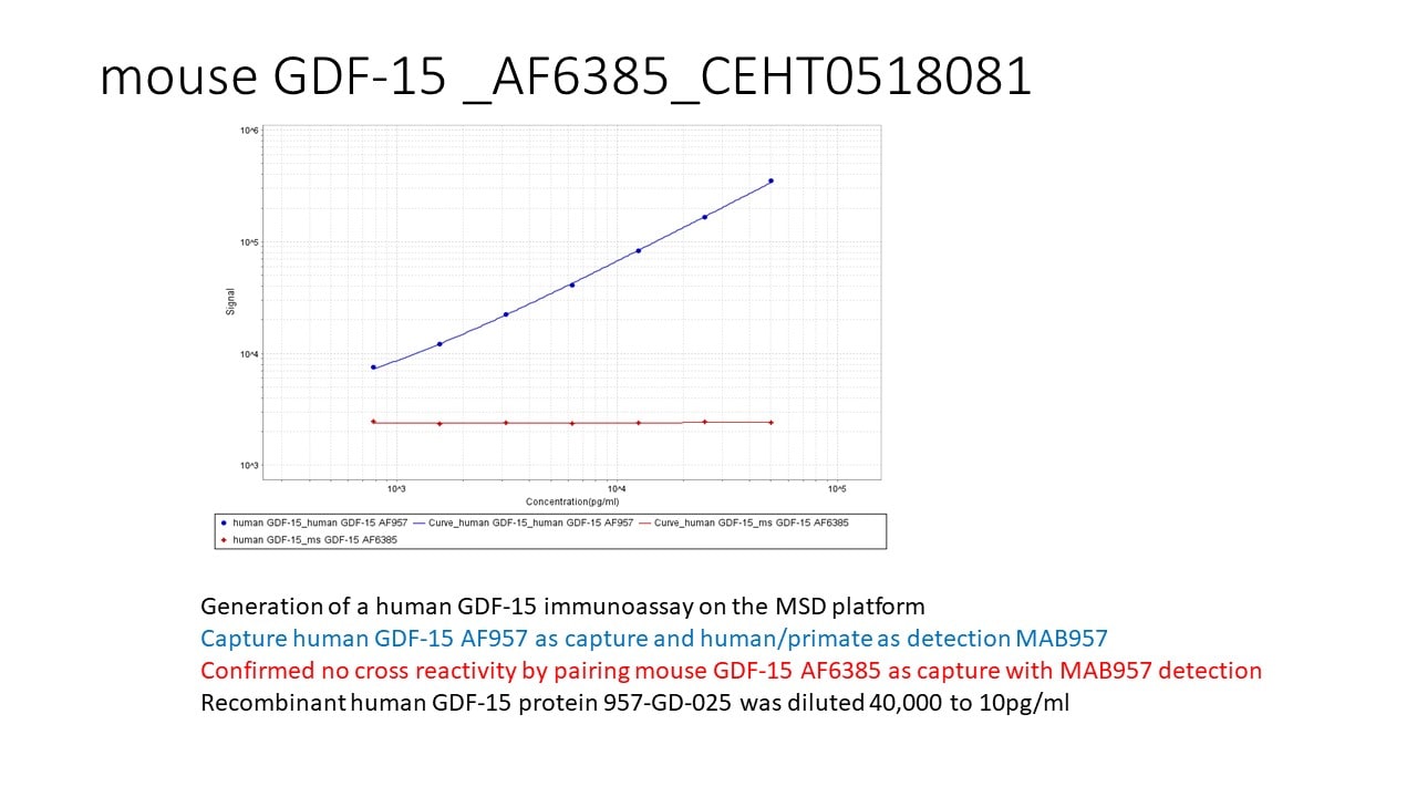 Mouse GDF‑15 Antibody AF6385