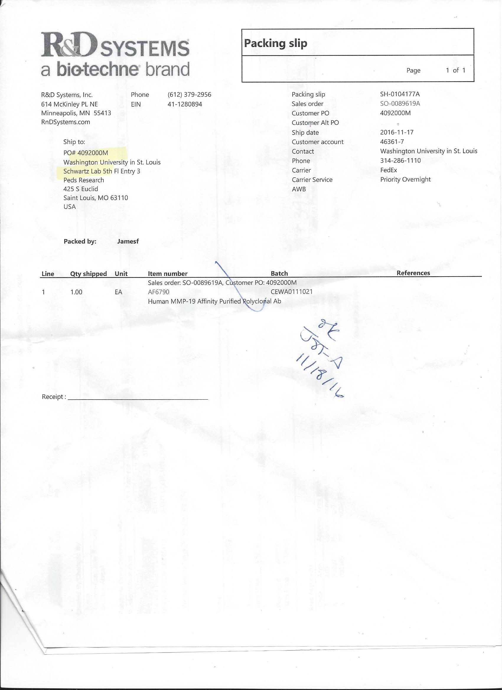 Human MMP-19 Antibody AF6790