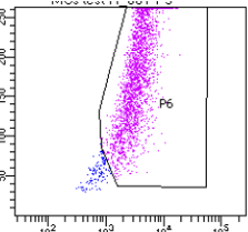 Mouse Osteopontin/OPN Antibody AF808