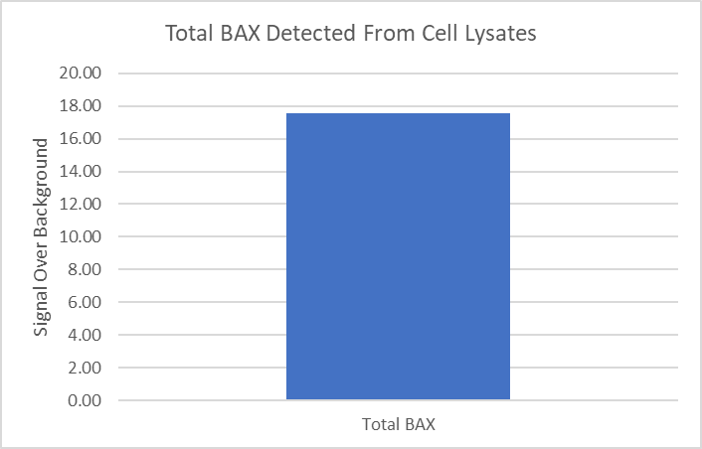Human/Mouse Bax Antibody AF820