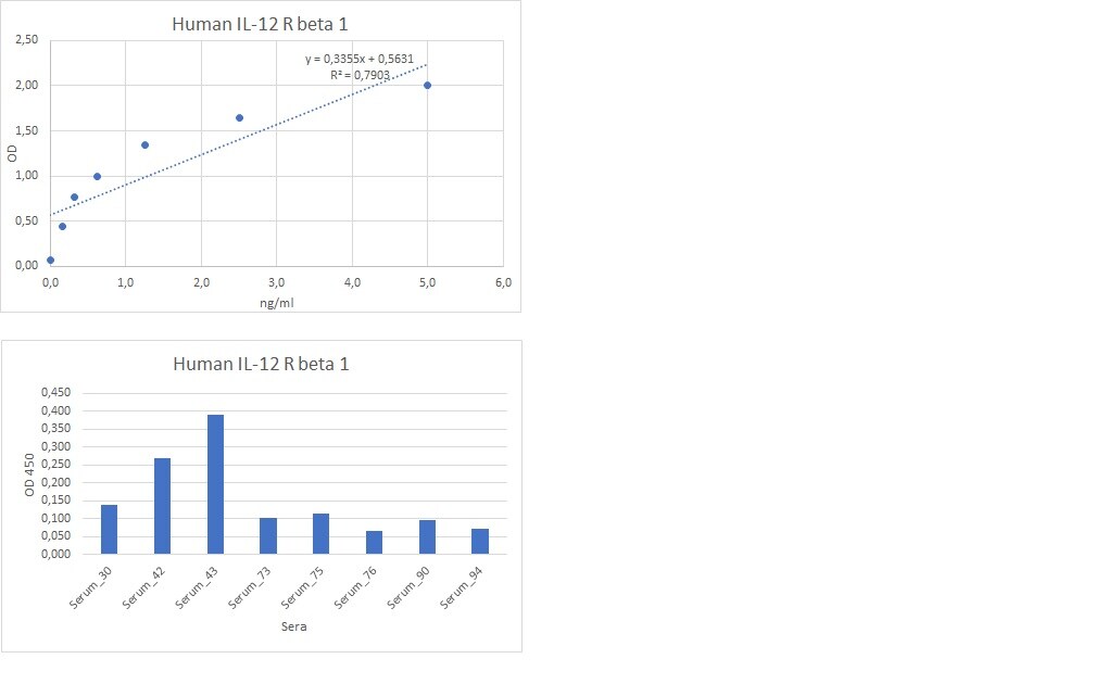 Human IL‑12 R beta 1 Antibody AF839