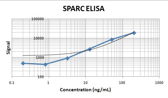 Human SPARC Antibody AF941