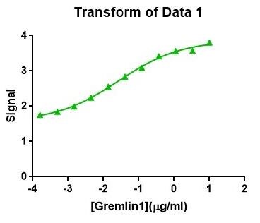 Human/Mouse Gremlin Antibody AF956