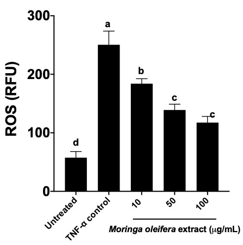Recombinant Human TNF-alpha, Animal-Free Protein AFL210