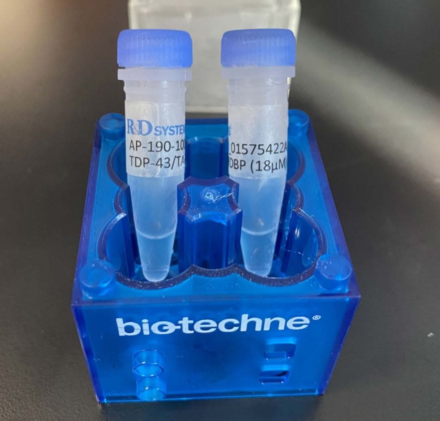 Recombinant Human TDP-43/TARDBP Protein, CF AP-190