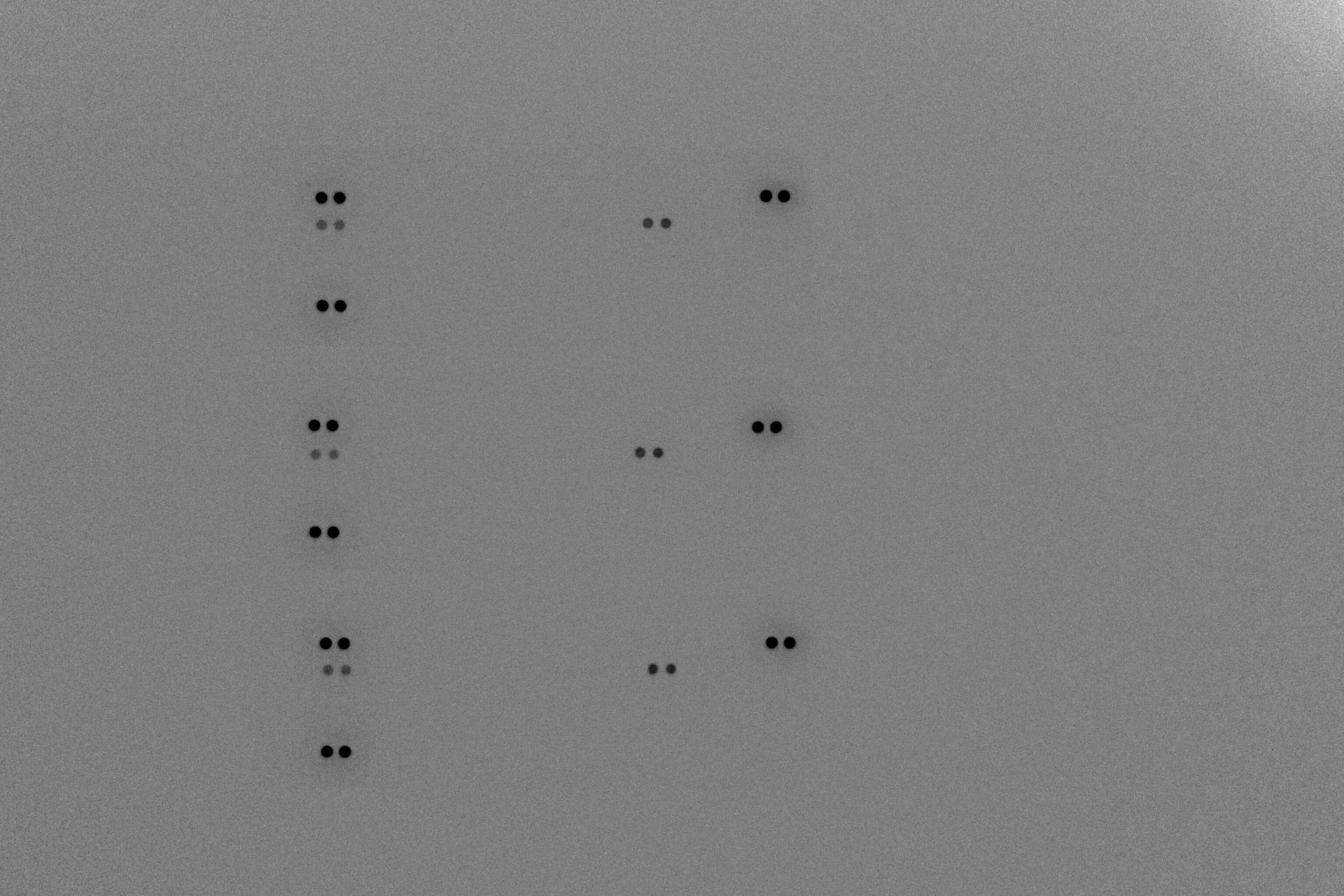 Proteome Profiler Human Phospho-RTK Array Kit ARY001B