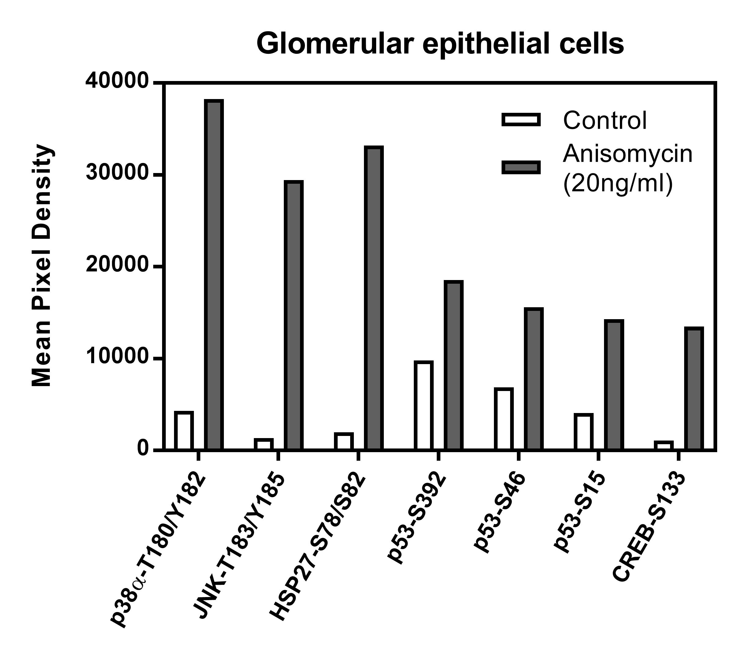 Proteome Profiler Human Phospho-Kinase Array Kit ARY003B