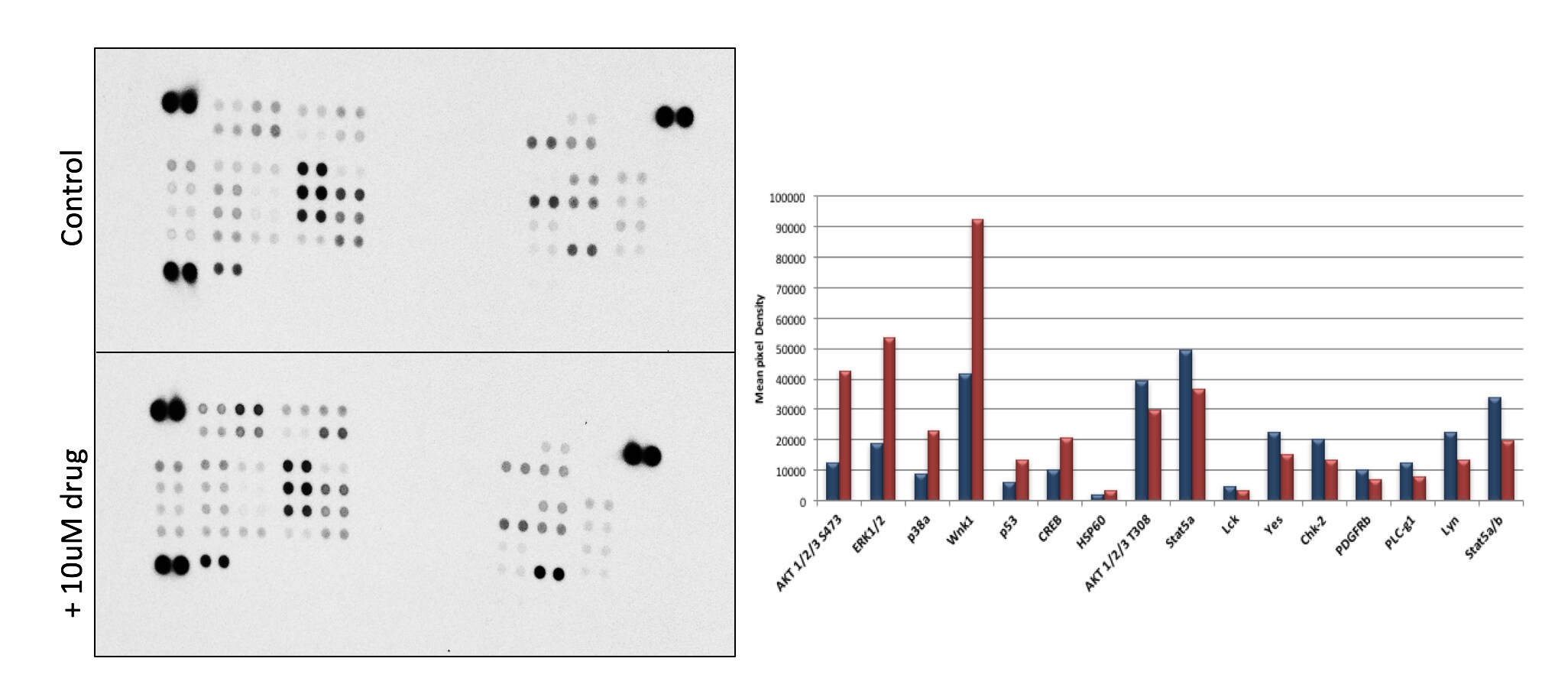 Proteome Profiler Human Phospho-Kinase Array Kit ARY003B