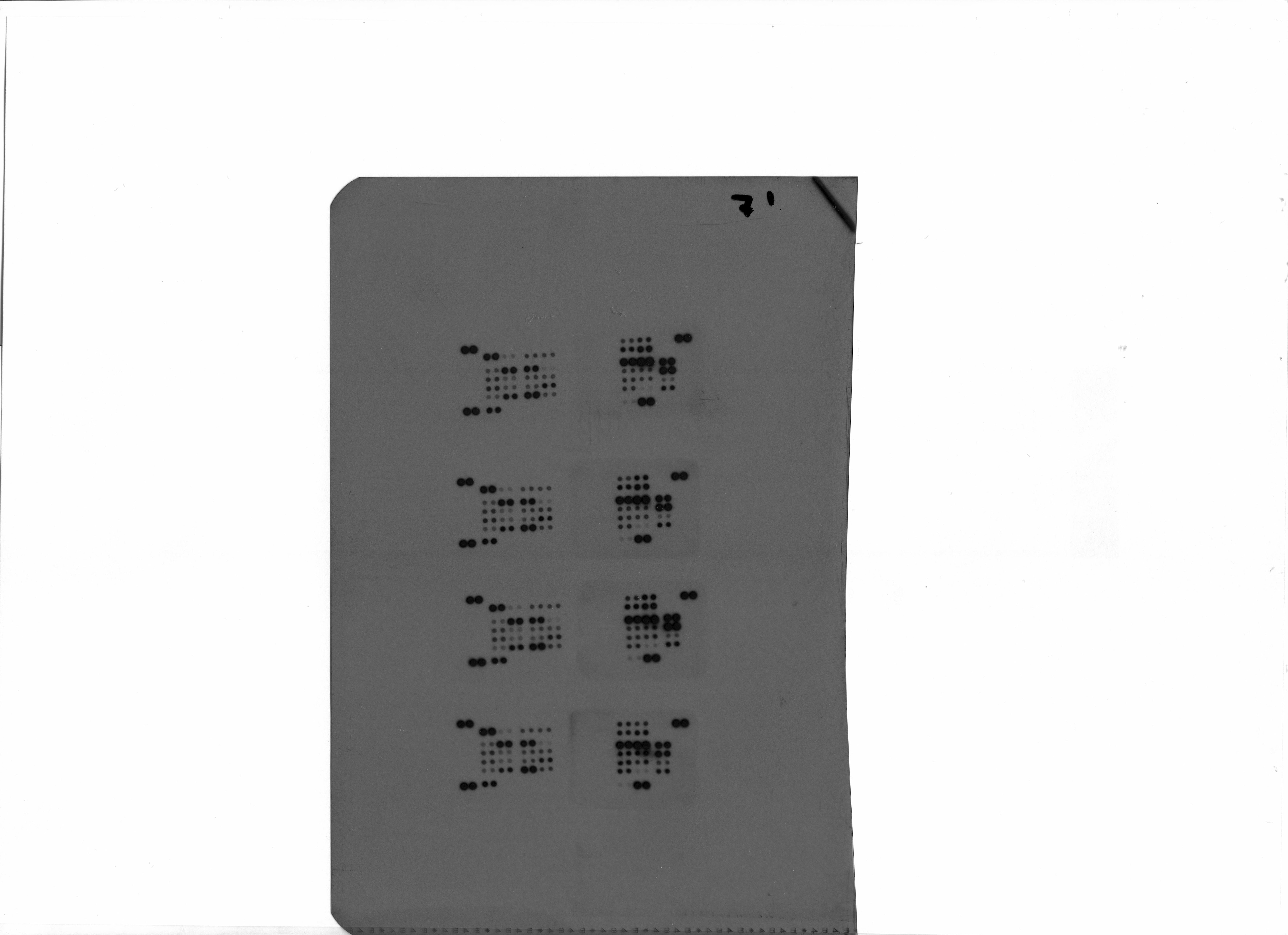 Proteome Profiler Human Phospho-Kinase Array Kit ARY003C