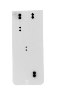 Proteome Profiler Human Cytokine Array Kit, Panel A ARY005