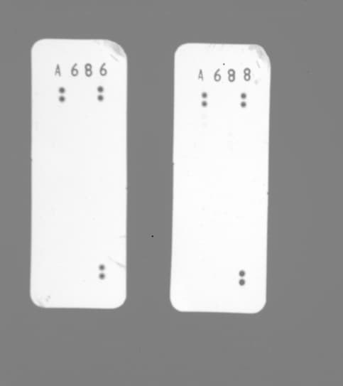 Proteome Profiler Human Cytokine Array Kit ARY005B