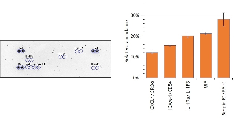 Proteome Profiler Human Cytokine Array Kit ARY005B