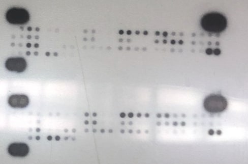 Proteome Profiler Mouse Cytokine Array Kit, Panel A ARY006