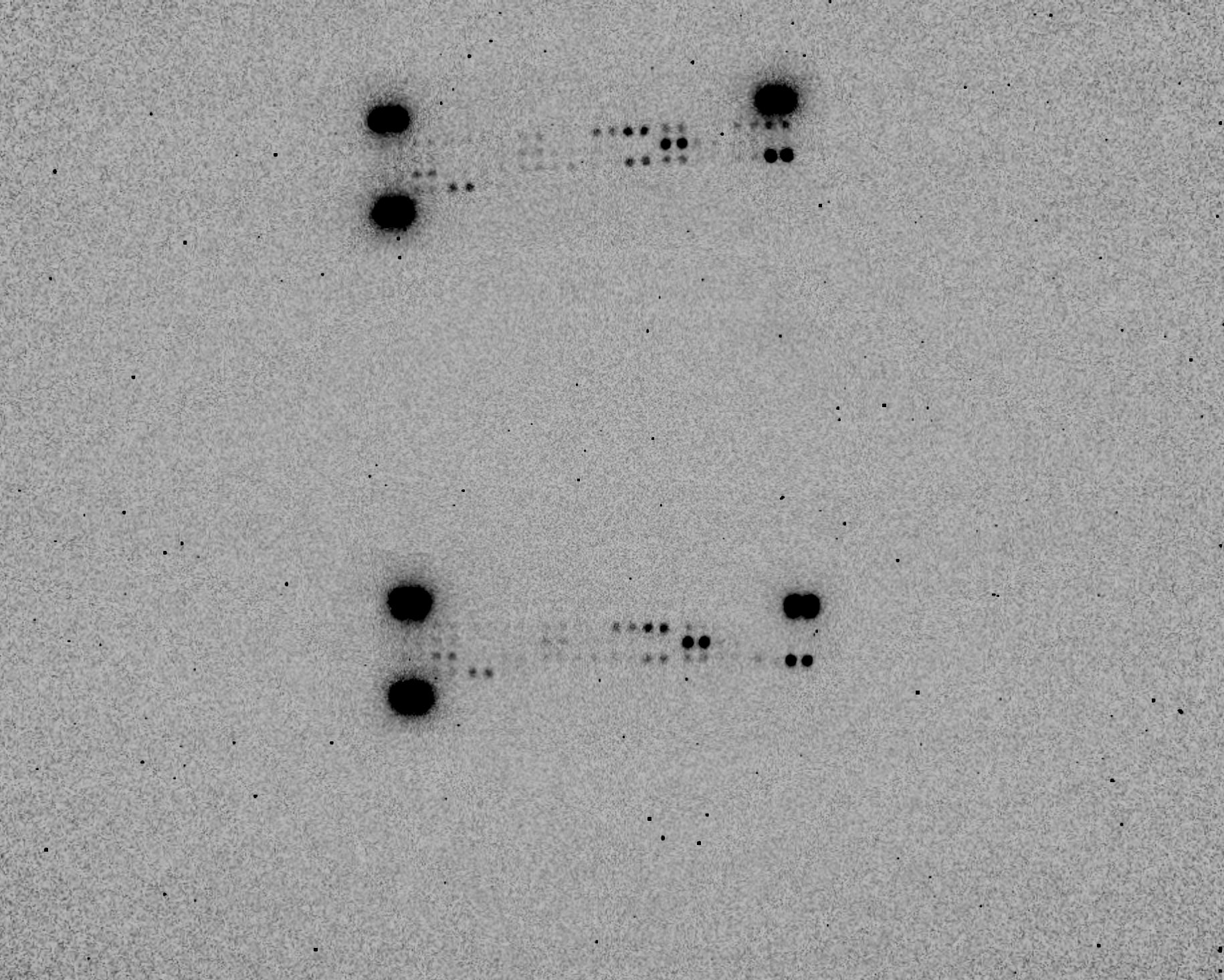 Proteome Profiler Mouse Cytokine Array Kit, Panel A ARY006