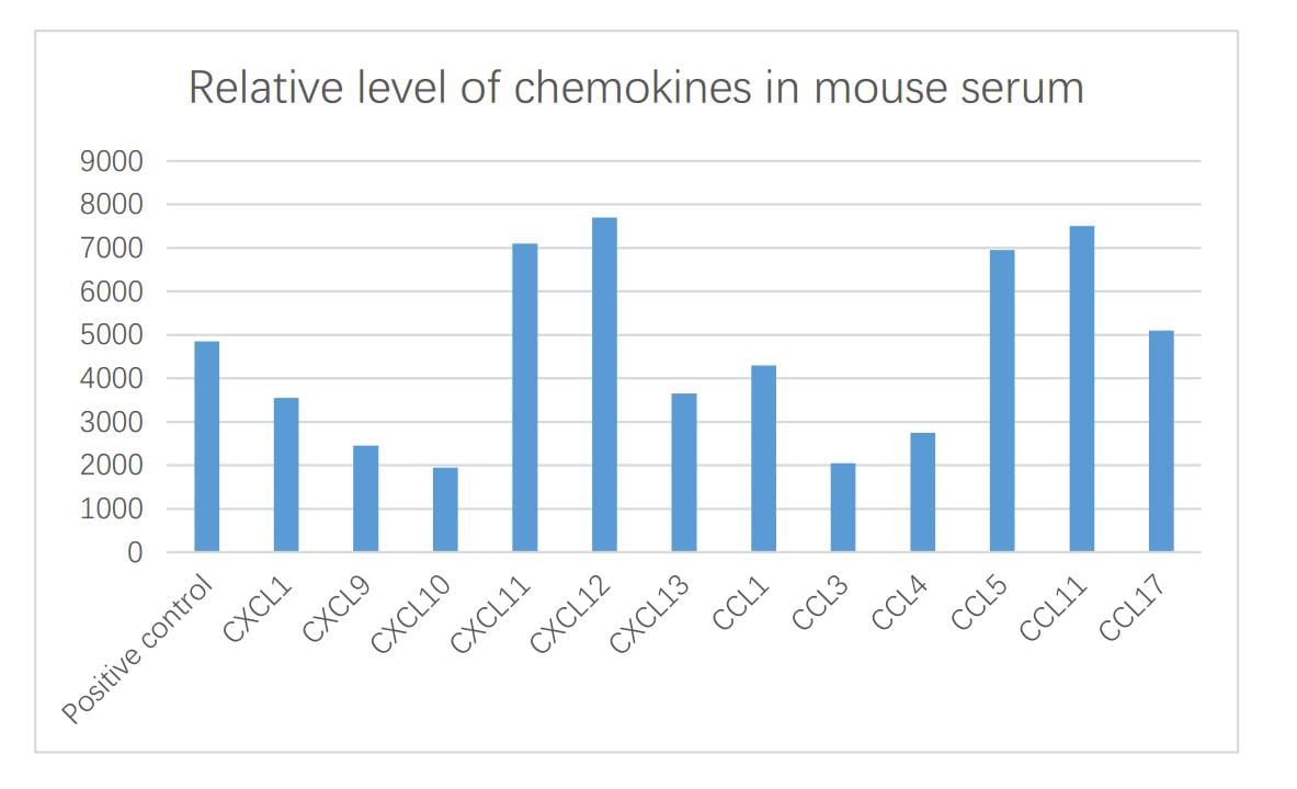 Proteome Profiler Mouse Cytokine Array Kit, Panel A ARY006