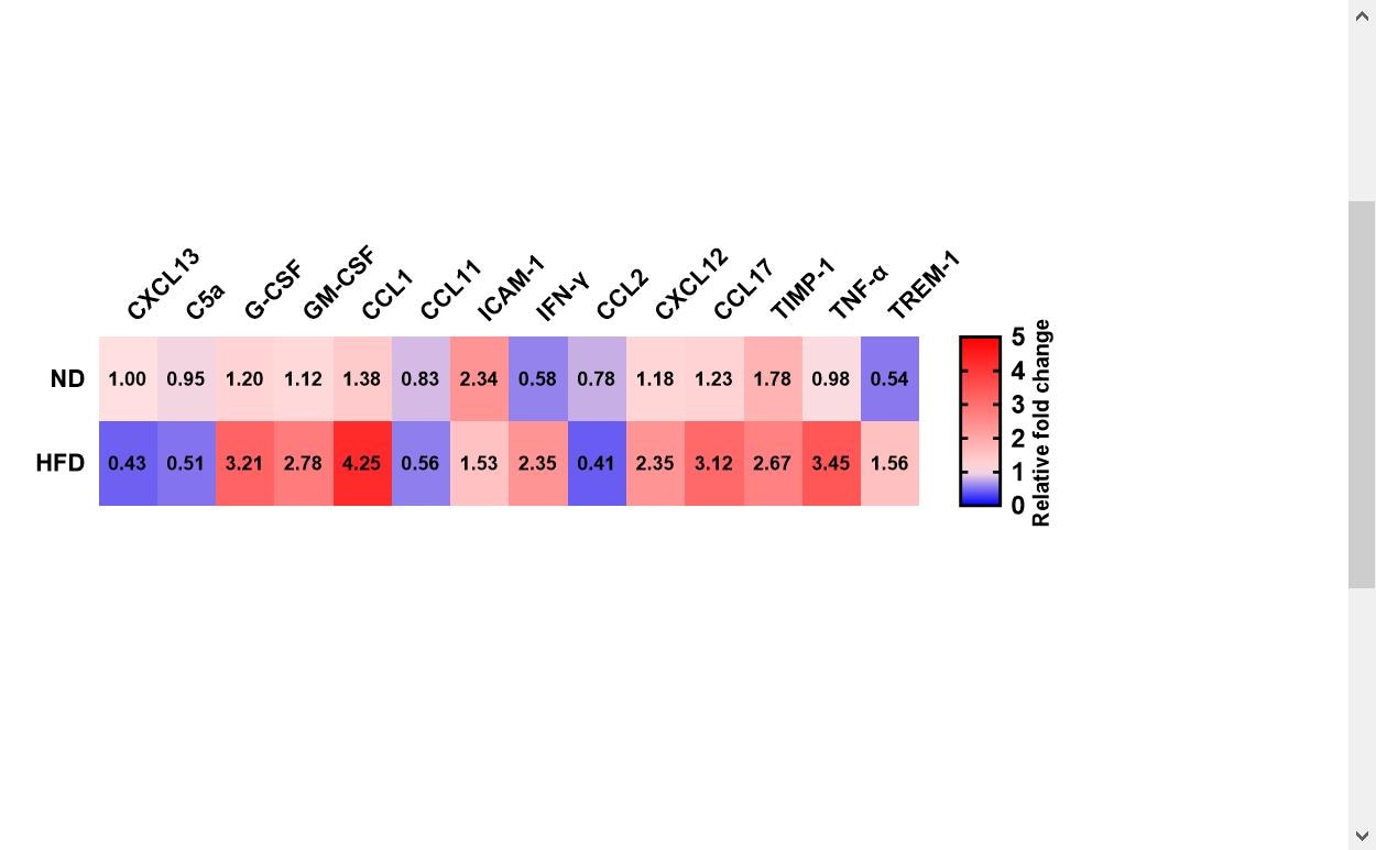 Proteome Profiler Mouse Cytokine Array Kit, Panel A ARY006