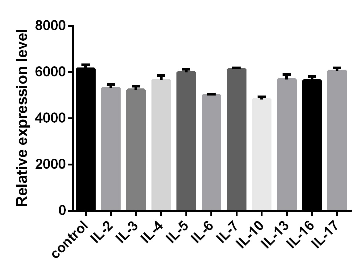 Proteome Profiler Mouse Cytokine Array Kit, Panel A ARY006