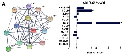Proteome Profiler Mouse Cytokine Array Kit, Panel A ARY006