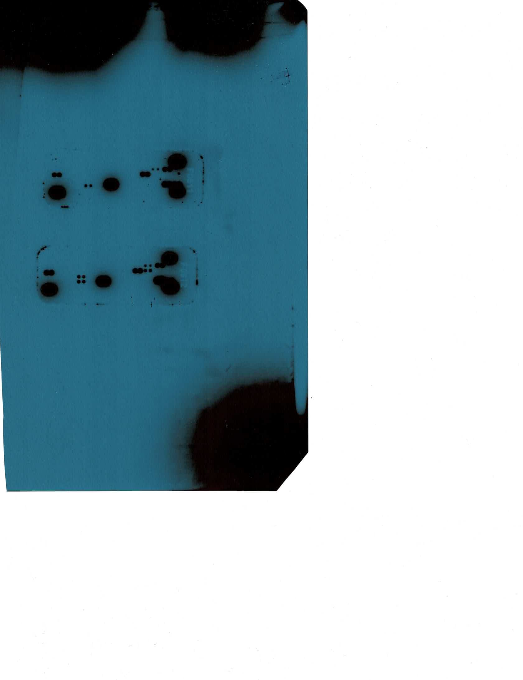 Proteome Profiler Mouse Cytokine Array Kit, Panel A ARY006