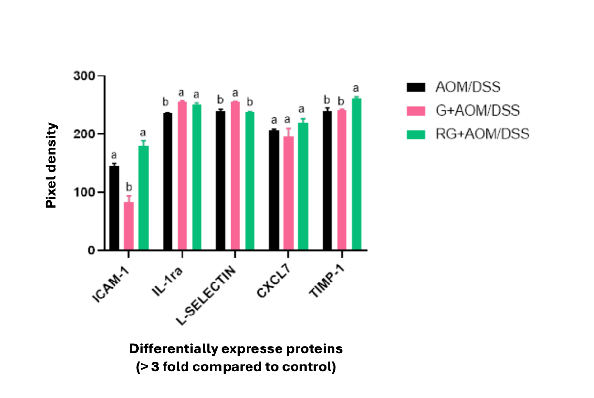 Proteome Profiler Mouse Cytokine Array Kit, Panel A ARY006