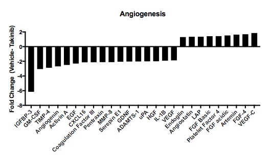 Proteome Profiler Human Angiogenesis Array Kit ARY007